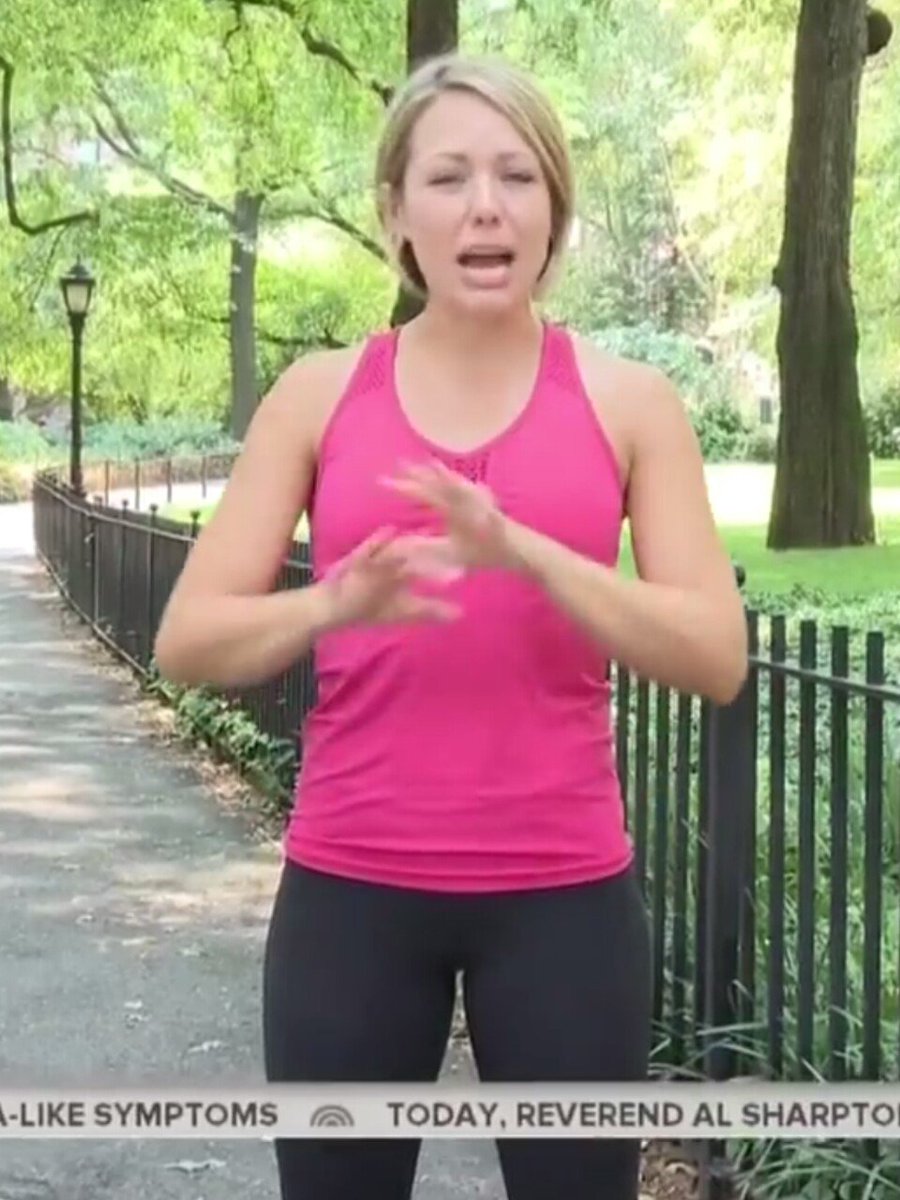dylan dreyer bikini pics