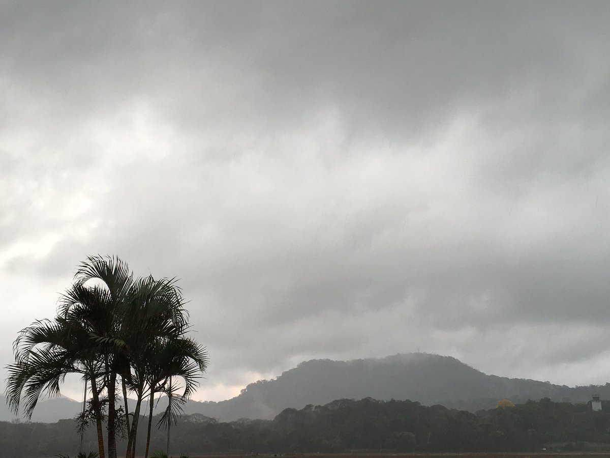 AlejandroSanz's tweet photo. Panamá es mucho más que papeles #BellaPanama ya estoy aquí 😘 https://t.co/aVPTNwdP7s
