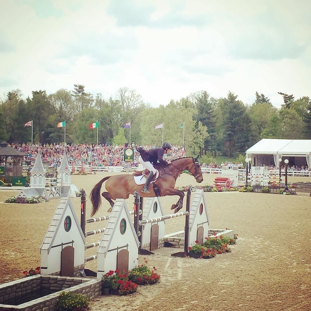 AmyBuchanan18's tweet photo. Sailing over the @gainesway jump @rk3de_official #showjumping #Rolex2016 @kyhorsepark #sha… https://t.co/wvyTnwVnOP https://t.co/ypRaG9nqRA