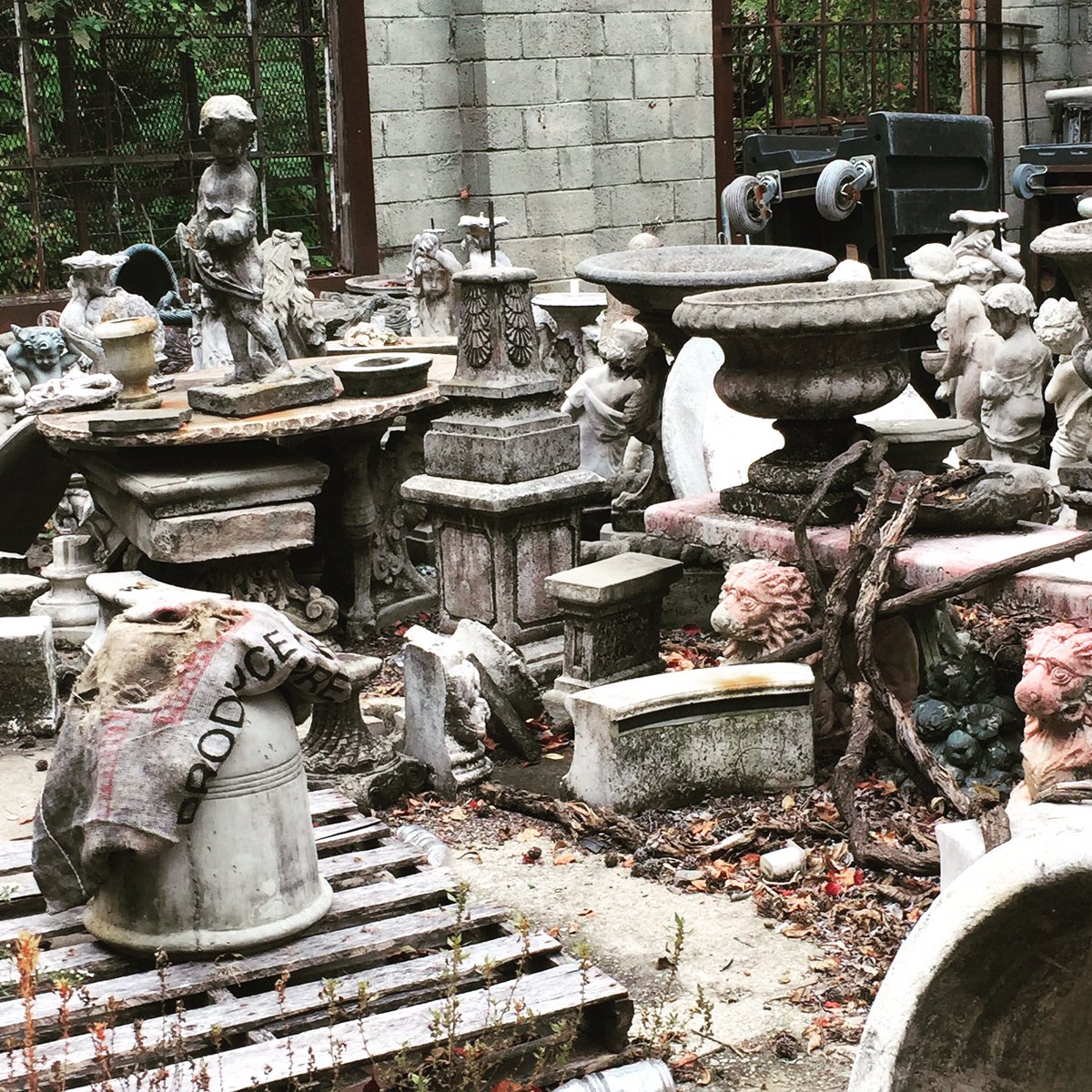 NeighborXine's tweet photo. You never know what you might discover walking around #Decatur. #DeKalb #GreaterDecatur https://t.co/stocujfSvK