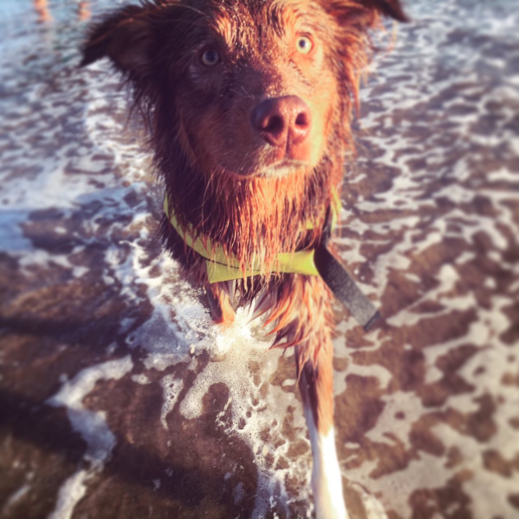 Simba Rivera tweet media