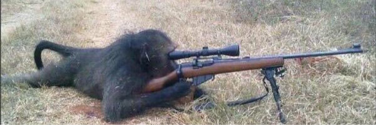 TruthExposer_'s tweet image. PROS
-She fights fascism
-She is freethinker and also an atheist 
-She likes to be free
CONS
-Communist
-Also an ape