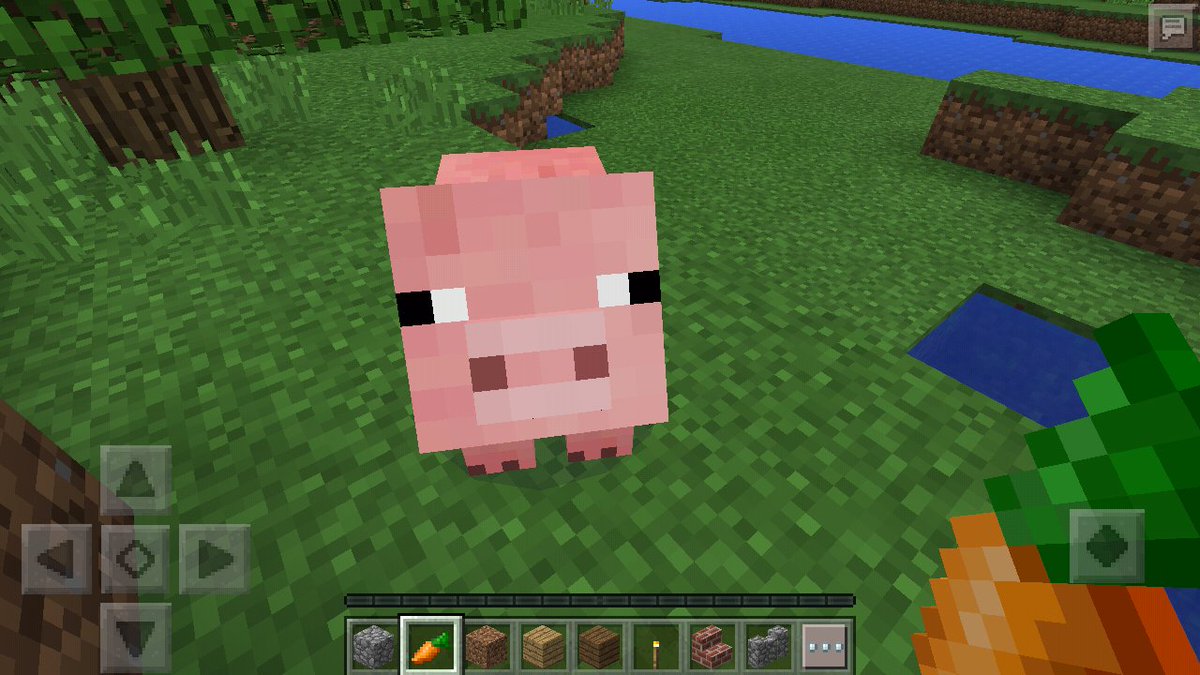 argo_major's tweet image. Oink...