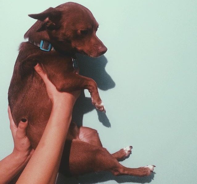 RTUrFavHVThings's tweet photo. Retweet if EDGAR's your favourite member https://t.co/FG6sl85JiA