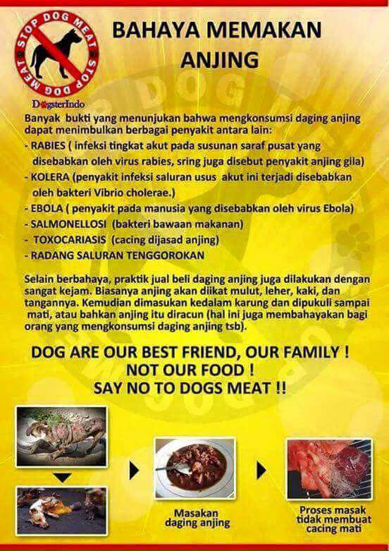 Nek babi entuk ra pakde? "<a href="/AdnanDKusuma/">Adnan D. Kusuma</a>: Bahaya memakan anjing. <a href="/adykristiwibowo/">ady kristiwibowo</a> <a href="/imamsenoaji/">Imam Senoaji</a> <a href="/DOM65Band/">DOM 65</a> "