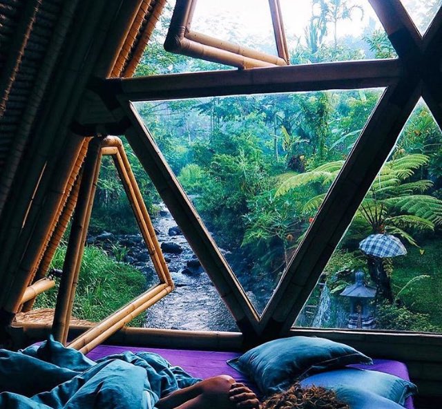 Makes me wanna fly with the bees , plant some seeds, roll in the trees, learn a plus degree, happy like MARY j.b...