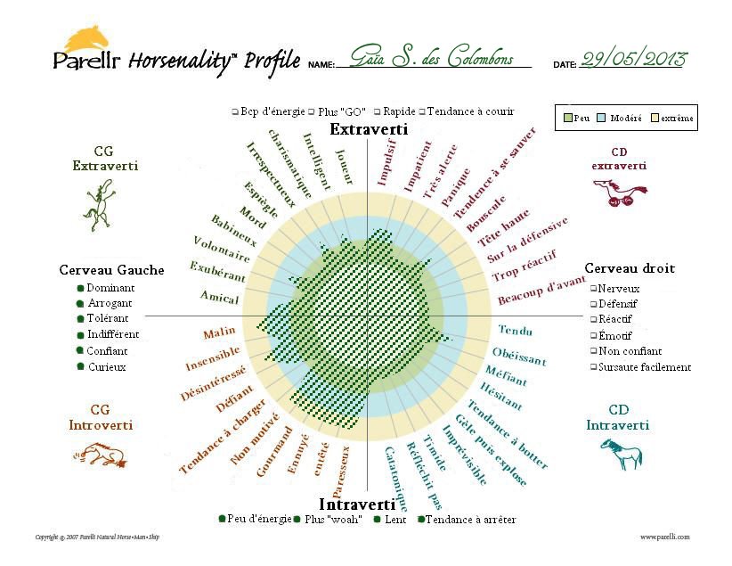 Horsenality Chart