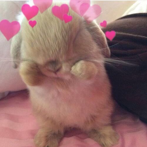 ImaginaryLT's tweet photo. How cute. 💕 https://t.co/qpq0hmz3yz