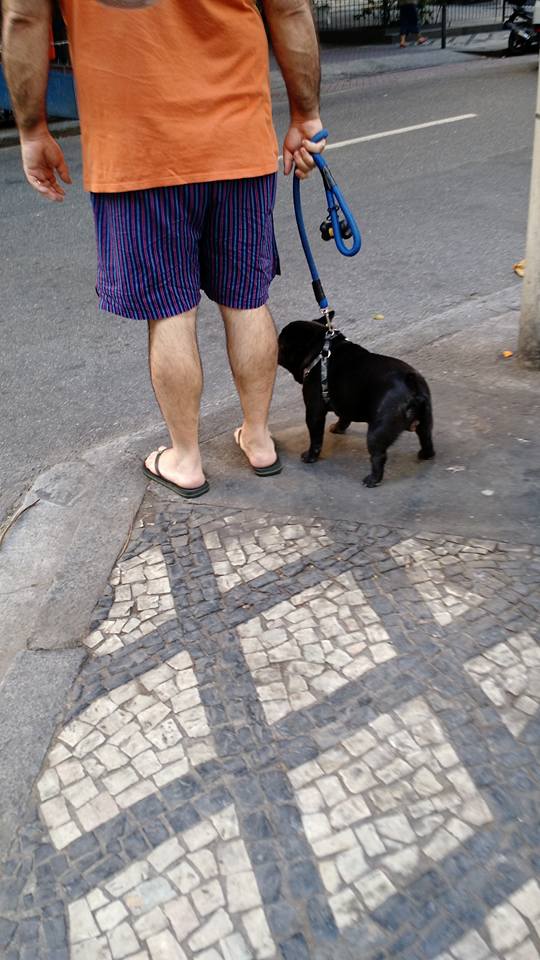 DogspottingOrg's tweet photo. Spot by Pedro Velasco
How do you leash that which has no neck?
#dogspotting #frogtech https://t.co/RMqOsTatmf