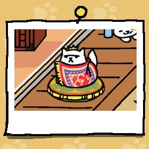 Jadziex Friday (@jackie_big_tits) | Twitter