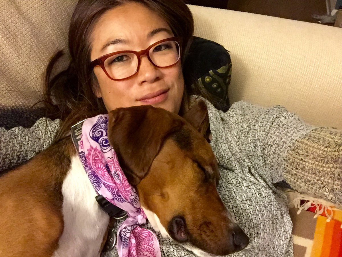 pamelaspunch's tweet photo. #FrasierSimone and me on a #SundayNight #AdoptDontShop #adoptdc #adoptwhs #rescuepuppy @Wash_Humane #dogsandwine https://t.co/Ah4sWeWJug