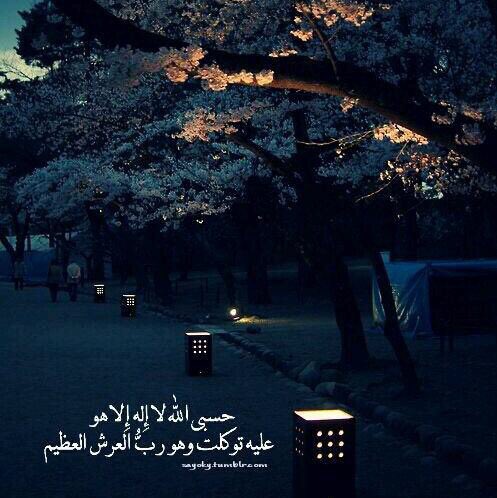 _a_330_ tweet picture
