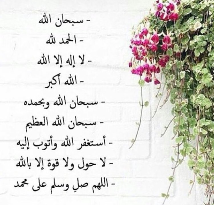 _a_330_ tweet picture