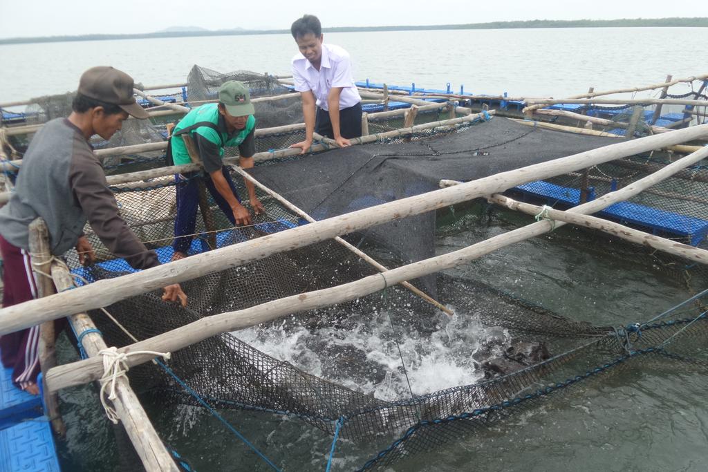 Firmand Syah tweet media