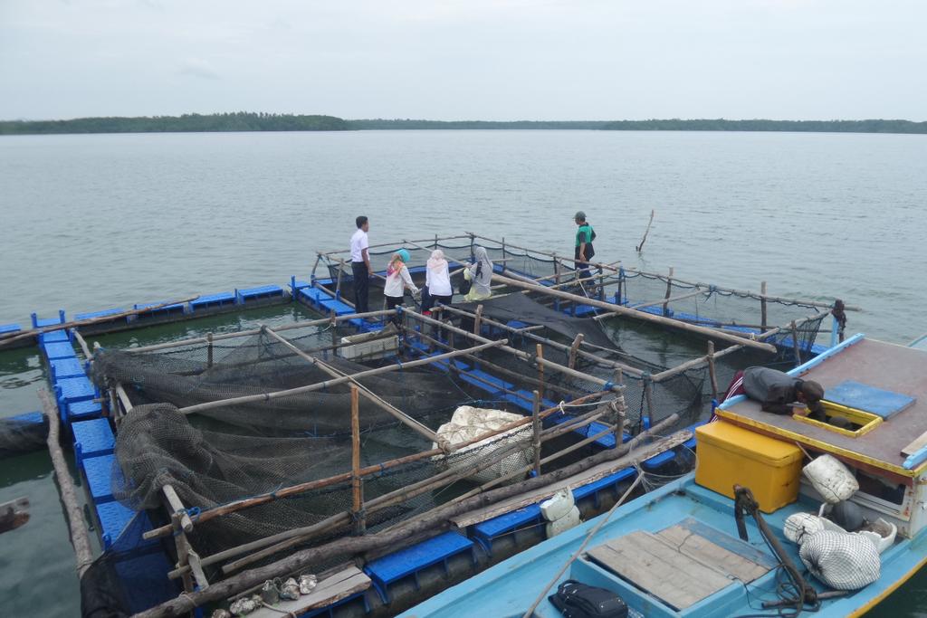 Firmand Syah tweet media