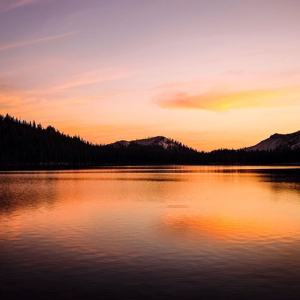 natparkexplorer's tweet photo. As Yosemite enters night 📷: @brokenmaps | Keep exploring and thank you for tagging #natpar… https://t.co/IgHRxYObaM https://t.co/5smAfng3i5