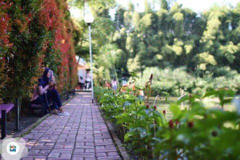 Sensasi Mini Belanda di Ciwastra bit.ly/tulipBDG #wisataBDG