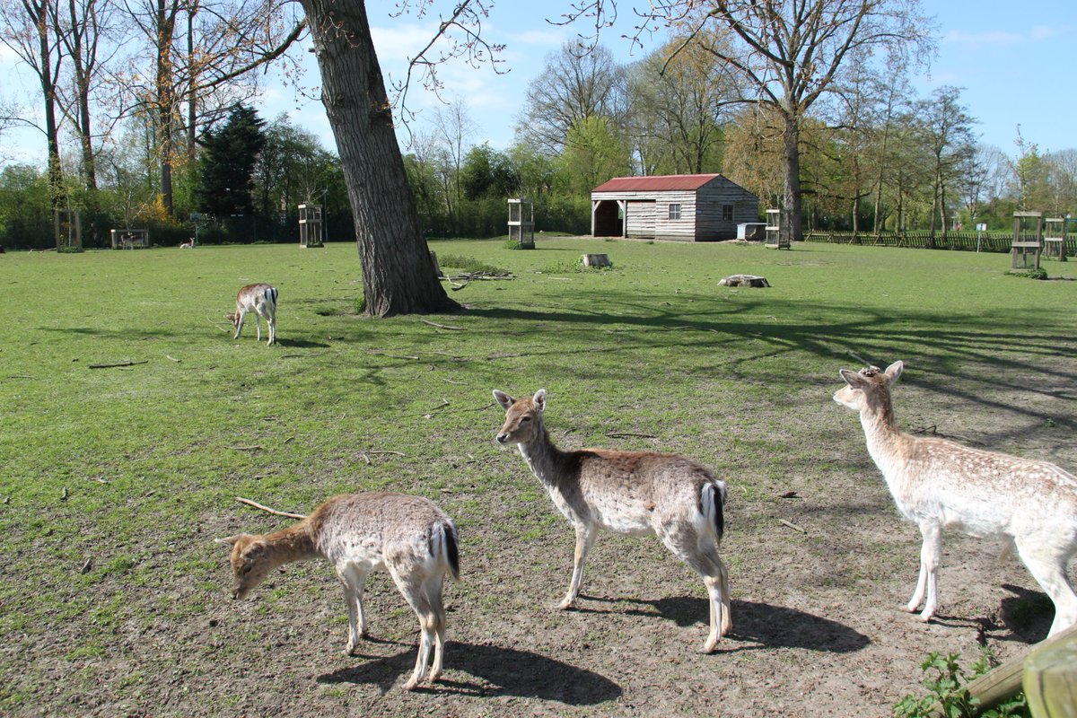 Za.28 mei, 13.00-16.00 uur: Dag van het Park in Park Rhoon met activiteiten voor jong en oud albrandswaardinactie.nl/evenementen/da…