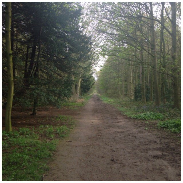 I just ran 4.01 km with Nike+. #nikeplus