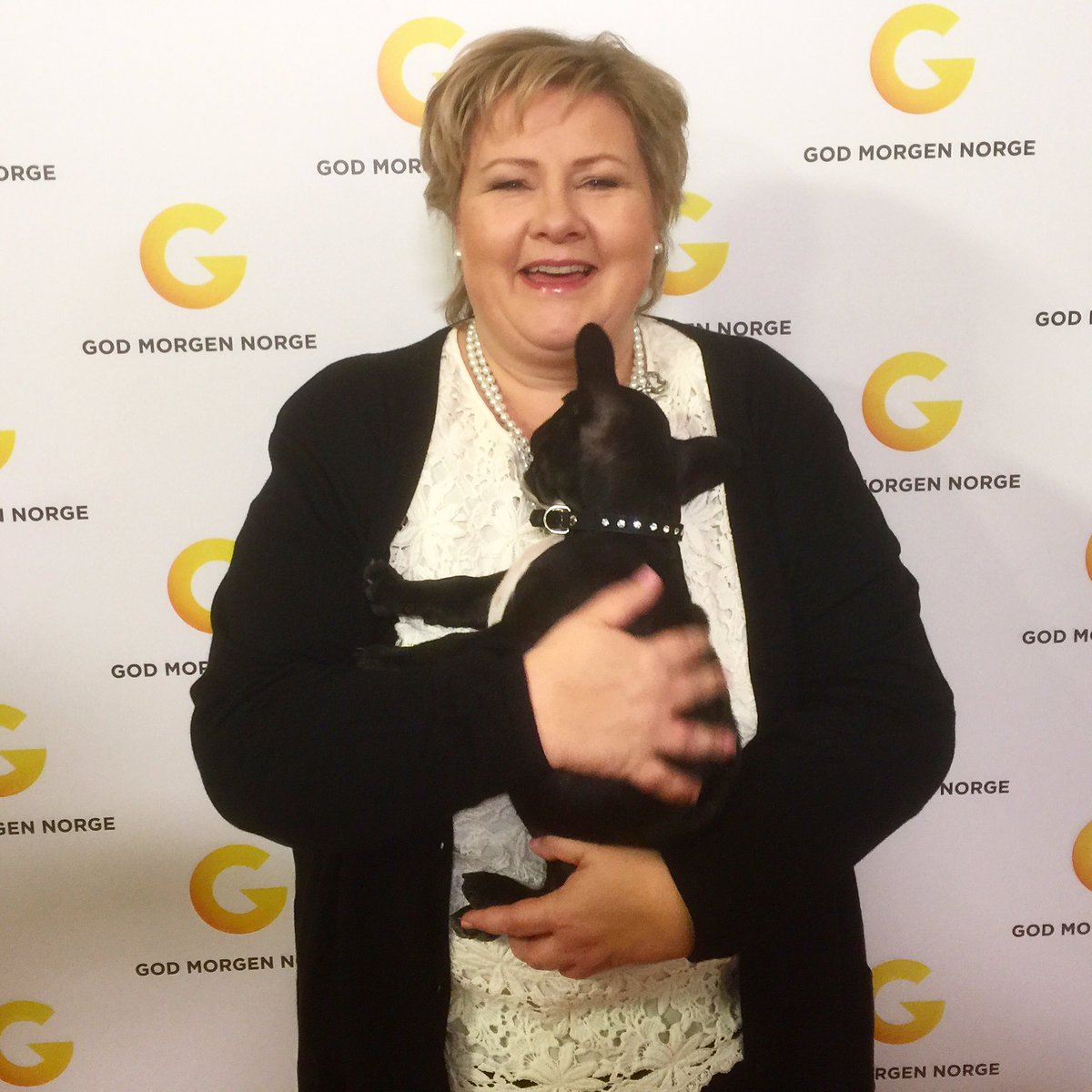 FrenchieEinar's tweet photo. So what do we do when we meet the prime minister of Norway, @erna_solberg? 😍😂Eat her pearls off course!😭😵 #frenchie https://t.co/8sfAj7gvUo