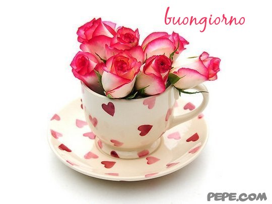 Lindaparla's tweet photo. Buongiorno mondo 😊💝😊#perQuanto ne so il mondo anche oggi gira! https://t.co/NSVaMhsPwW