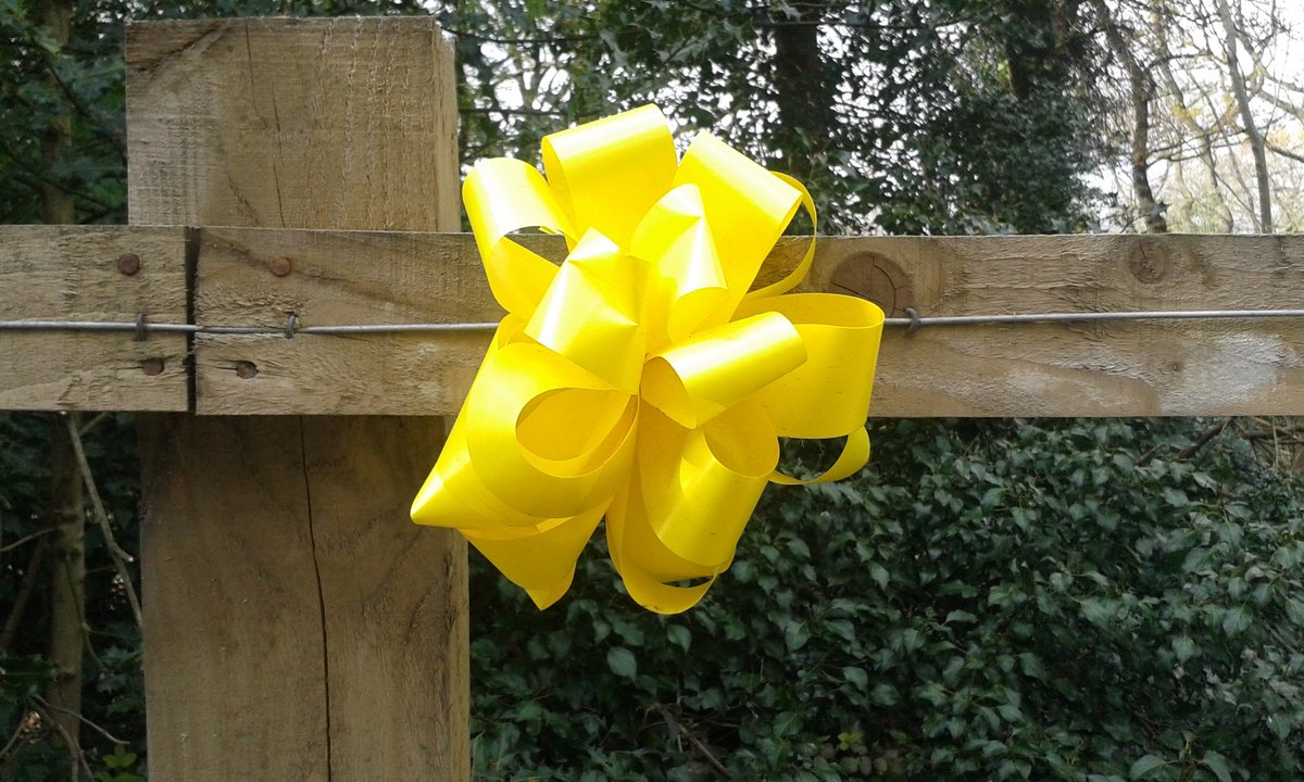 Take a bow everyone.