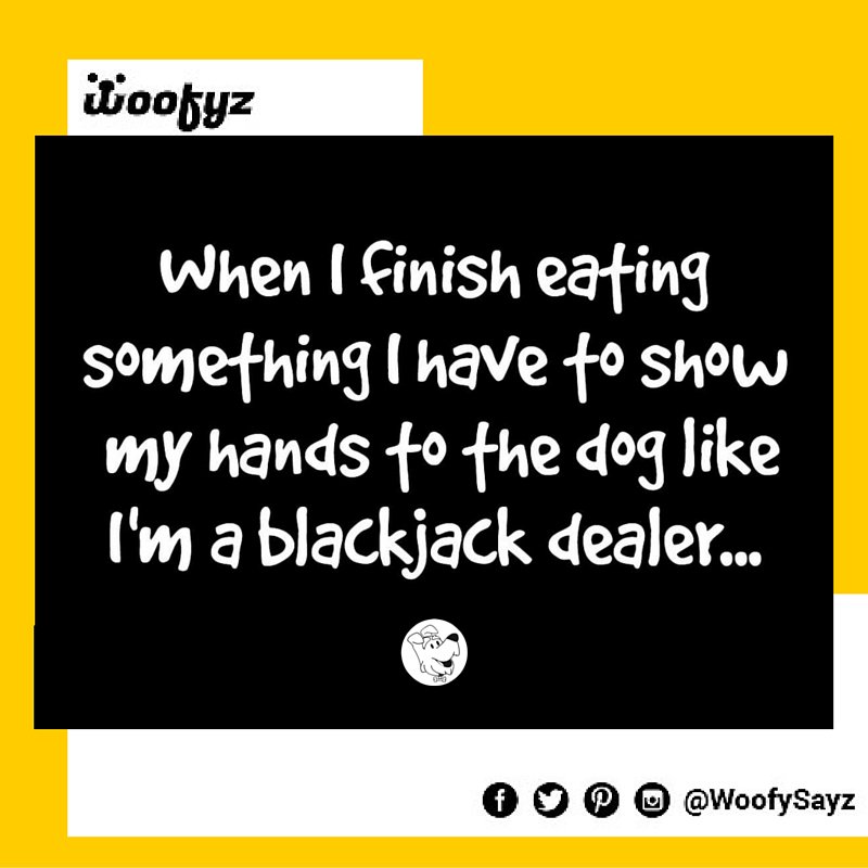 WoofySayz's tweet photo. #Dogsrule #PetParentsStory #storyofmylife #dogfood #blackjack #dogtales #dogstories #Food #AfterMeals https://t.co/pngYiyrZlX