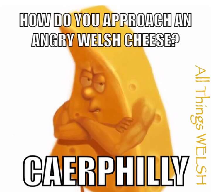 One for our friends in <a href="/CaerphillyPlaid/">Caerphilly Plaid</a> 💚 😂