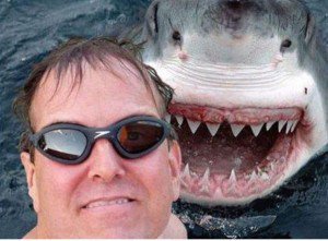 ShareThis_Media's tweet photo. Taking Selfies More Dangerous Than Shark Attack! https://t.co/m5YXKfsK0P https://t.co/Rt2yULDI9Y