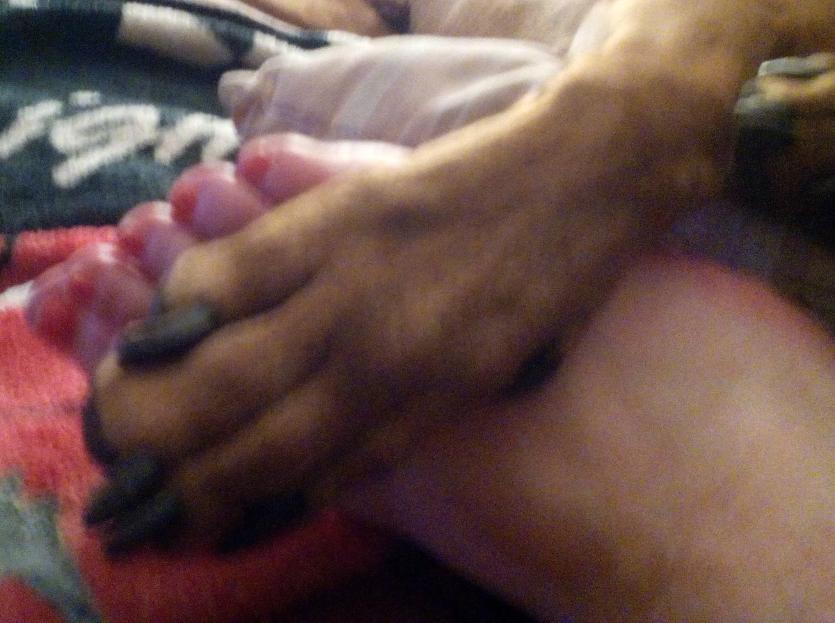 carynbarry70's tweet photo. @RobinMeade finished watching making a murderer so frustrated! bff felt the tension and did this #frustrationtherepy https://t.co/uxlDFnqLA6