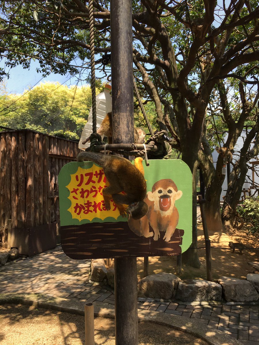 触れ合えるリスザルの檻 だけど注意書きがヤバイ Togetter