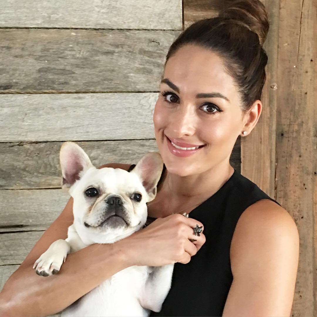 In love with my frenchie ring. It looks like my little Winston.  ❤️🐶 This rings along with others goes ---