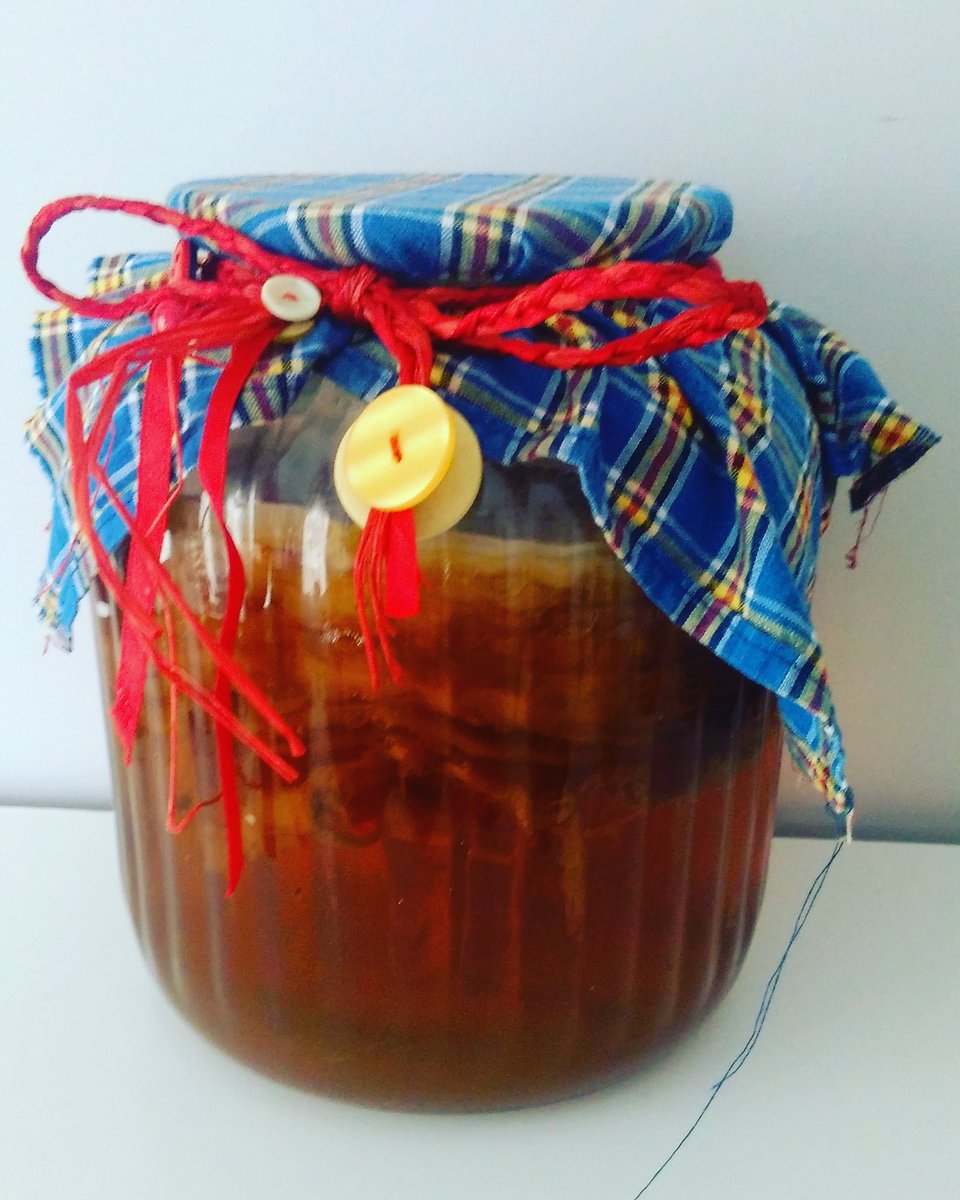 kombuchaprinces's tweet photo. Green tea kombucha baby #kombucha #kombuchaprincess #probitics #guthealth #guthealing #vegan #vegangirl https://t.co/sIb9RuC7sD