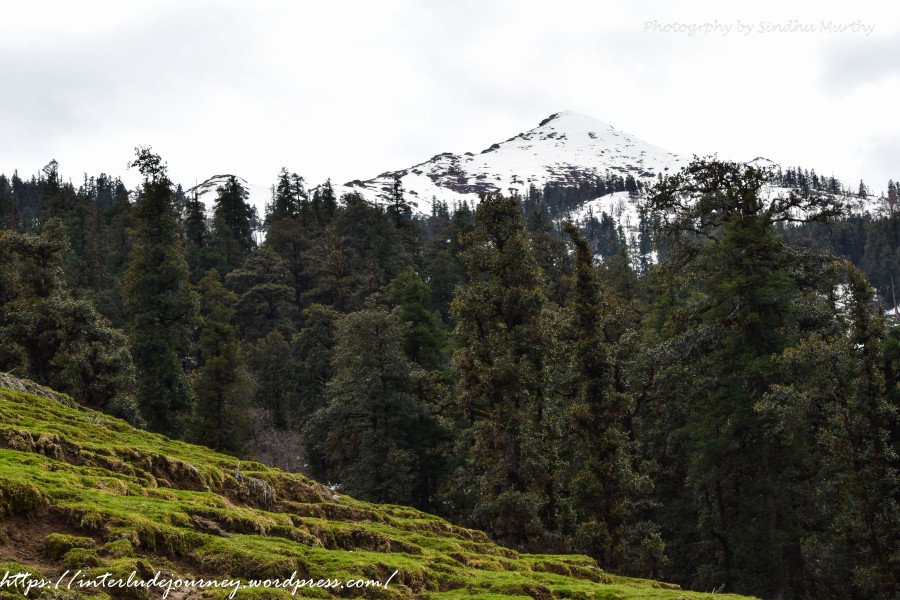 InterludeJourney tweet media