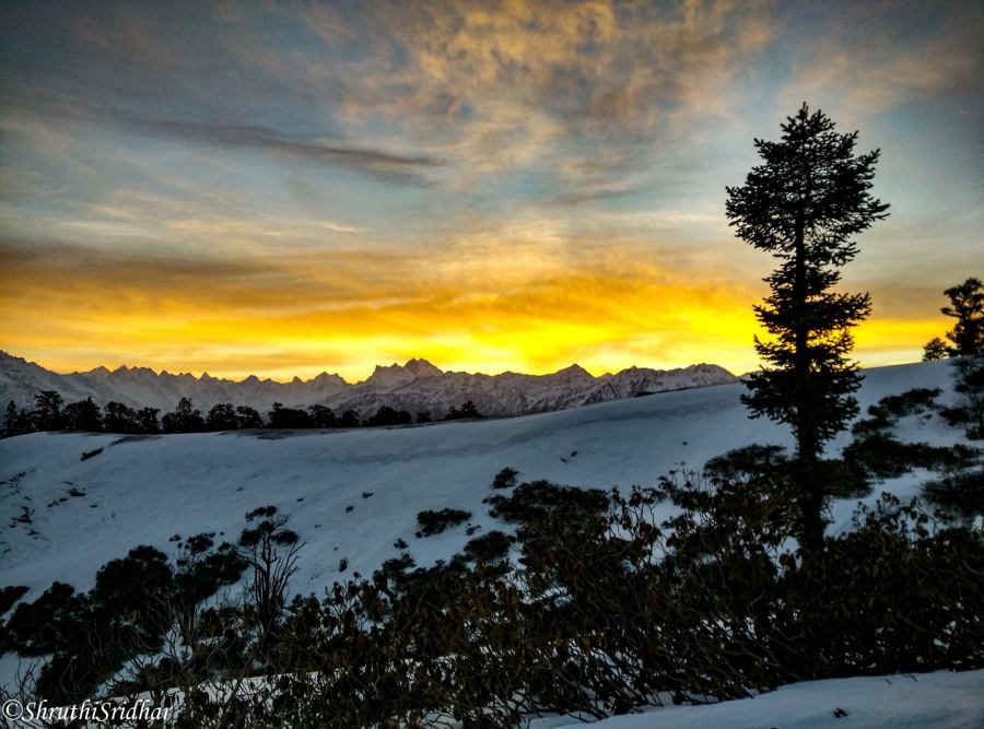 InterludeJourney tweet media