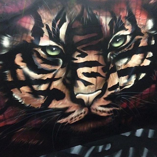 ZonaGraffitis's tweet photo. 🐯 https://t.co/NKsBDGcDDG