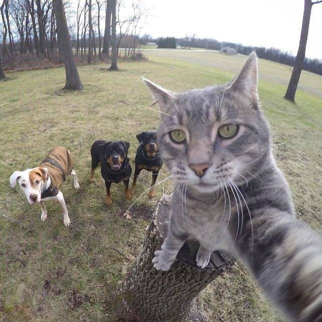zopodocom's tweet photo. Fearless selfie! https://t.co/AezpXadO5x