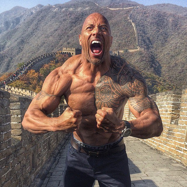 reddybro233's tweet photo. @TheRock Happy birthday to the coolest and strongest man!! https://t.co/Ohe81d6cvO