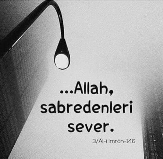 hsynesr's tweet photo. Günaydinn https://t.co/Dv1WLEvHVM