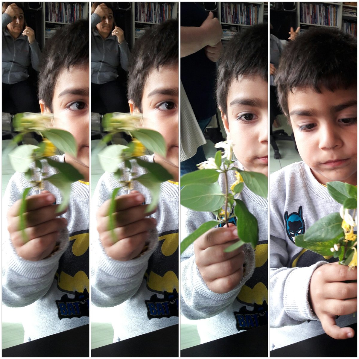 Bugün ki cicegim Berat'dan...