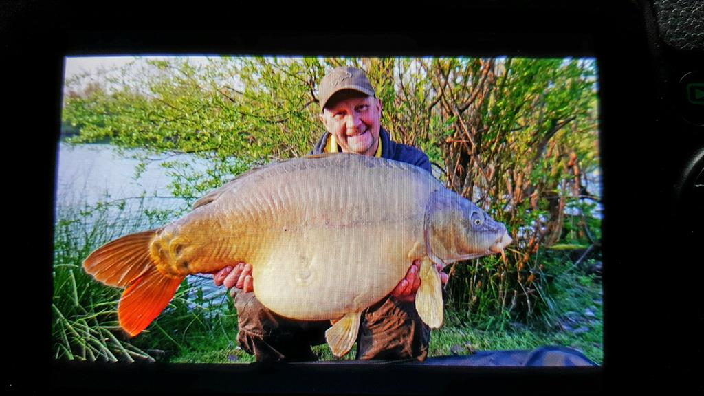 Desire trip is going well