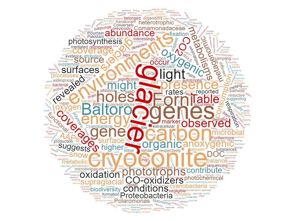 microDISAT's tweet photo. Light-dependent metabolisms drive carbon fluxes on glaciers. https://t.co/rSkjhMgDXw @ISMEJournal @unimib @LaStatale https://t.co/vObYiprH5N