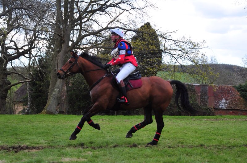 BRS_Eventing's tweet photo. The superb mare @ChilhamPark on Saturday. More fitness work then onto @TweseldownRC. #loveeventing #amazinghorses https://t.co/LJdenubG4J