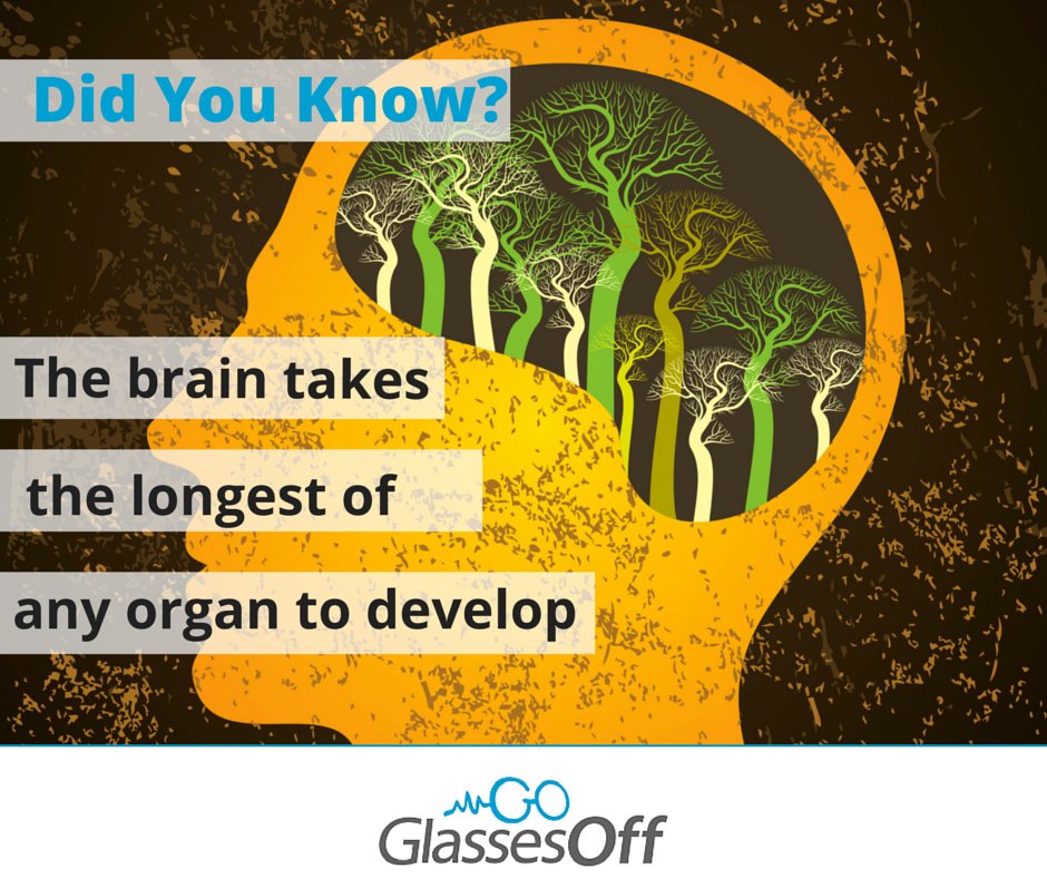GlassesOff_App's tweet photo. Did you know..
The brain takes the longest of any organ to develop &amp; goes through more changes than any other organ. https://t.co/hZTSIdtozU