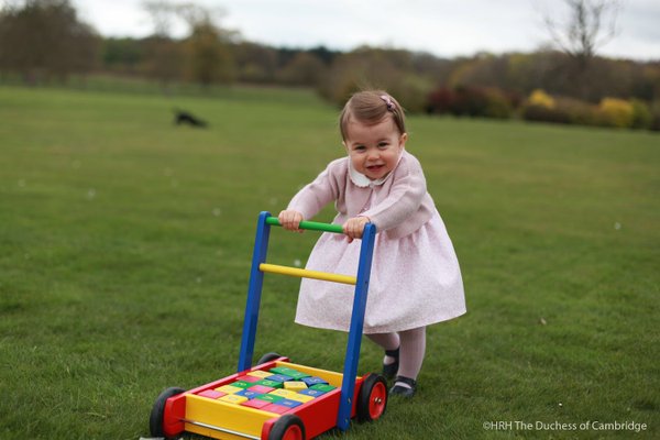 pintoy baby walker