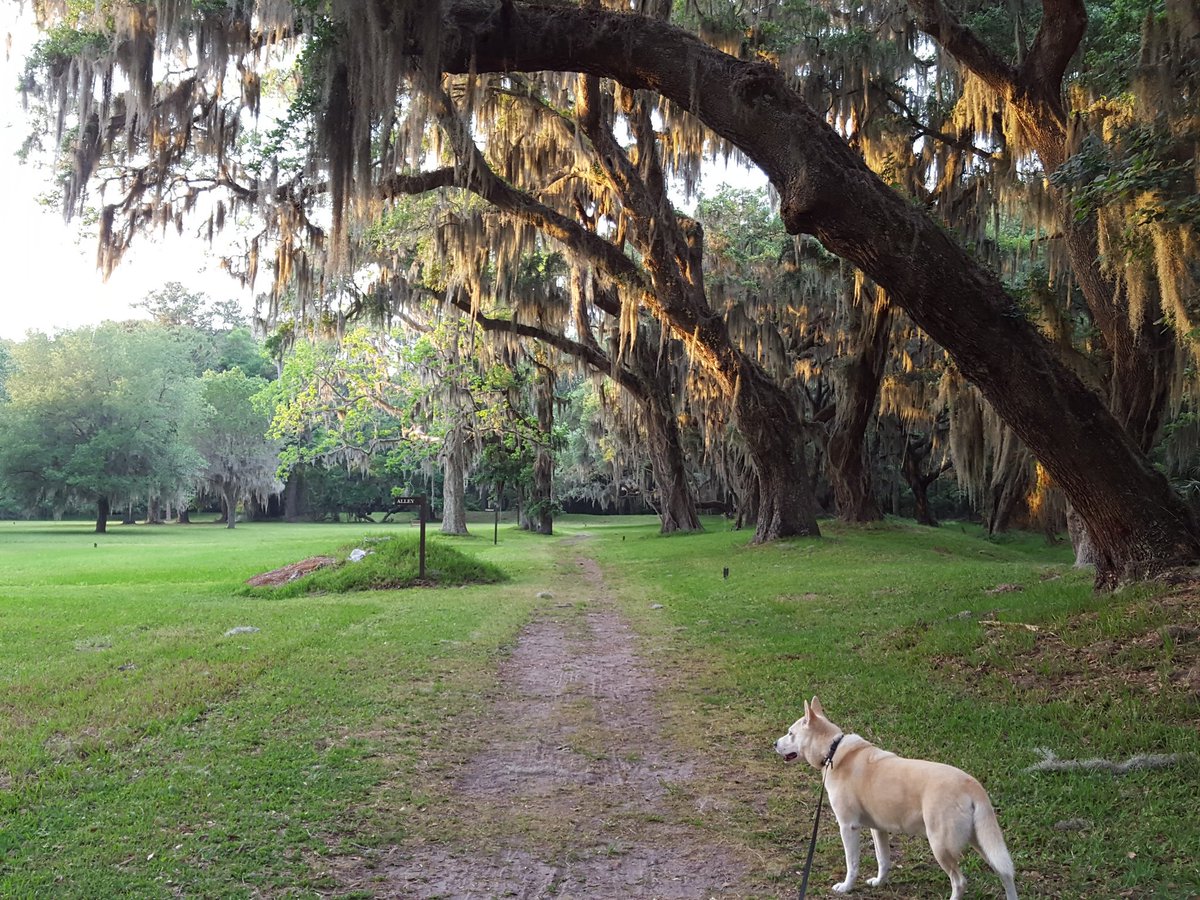 Leashed dogs are welcome to tour the historical site. Admission is free.