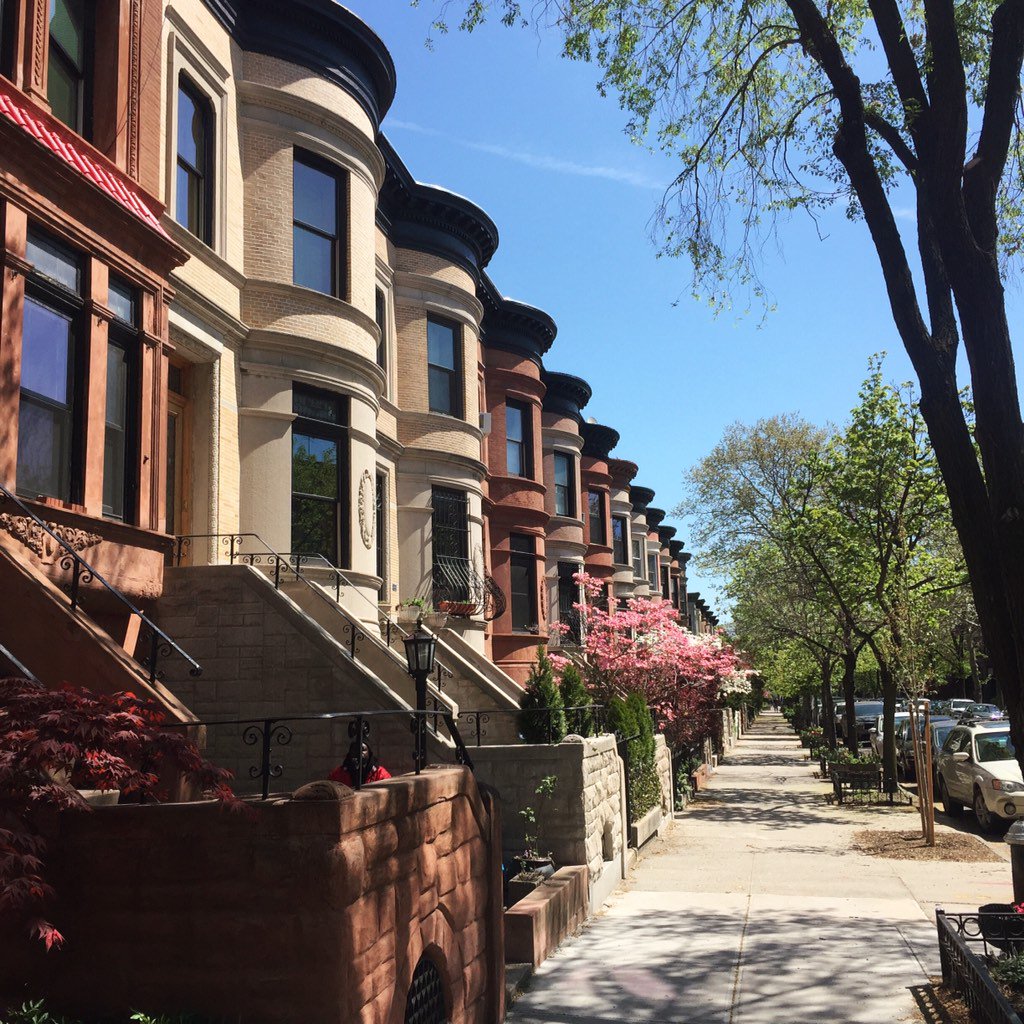 maydayis's tweet photo. #makingeverything about taking a deep breath and appreciating what's around us 🏡 #NYC #creativeagency #brooklyn https://t.co/AppG9HnVgX