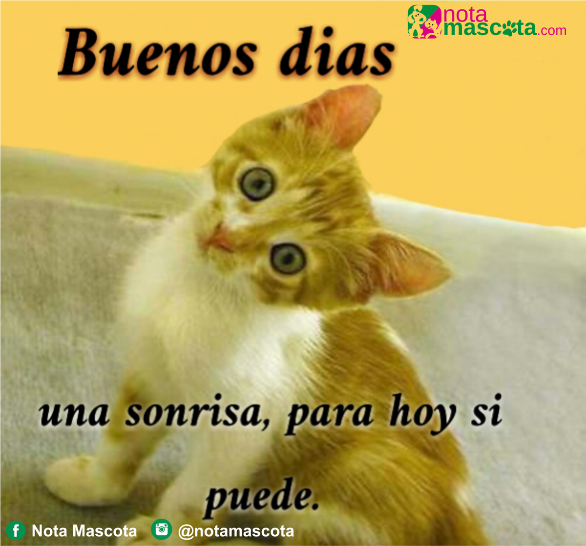 BuenosDias #FelizLunes #mascotas #mascotafeliz @patitasencasa, image size:1200x1117