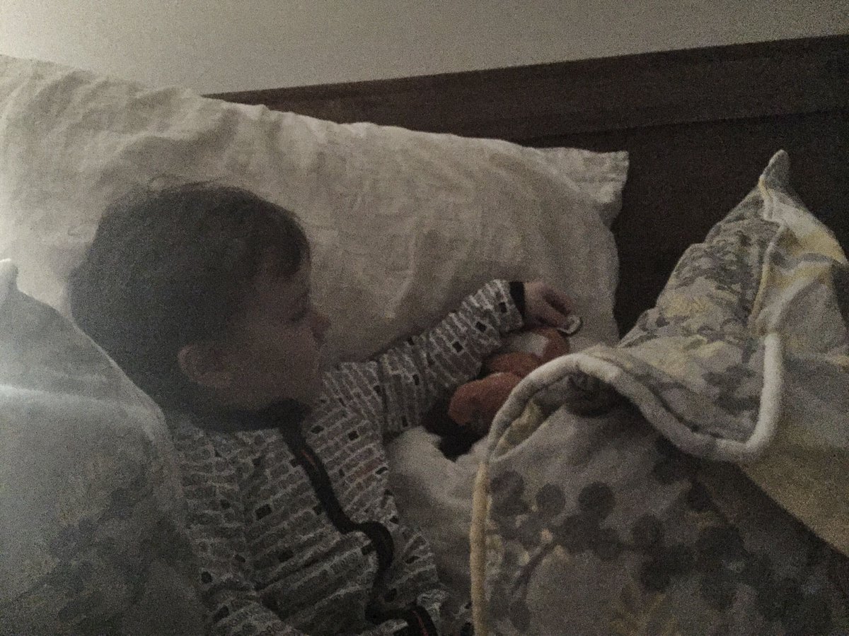 mintedrogue's tweet photo. Tonight’s bedtime routine involved a pillow fort for him &amp; Fox. #fmsphotoaday #fms_routine #mumlife #toddlerlife https://t.co/dZsPktVd0o