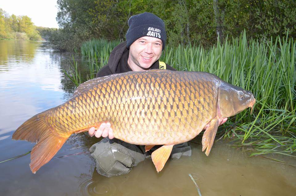 SharpTackle's tweet photo. Scott Geezer grant with a 30lb common and a French pb common curveshank doing the damage! #sharptackle https://t.co/g5O2RyBQ2X
